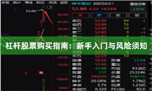 杠杆股票购买指南：新手入门与风险须知